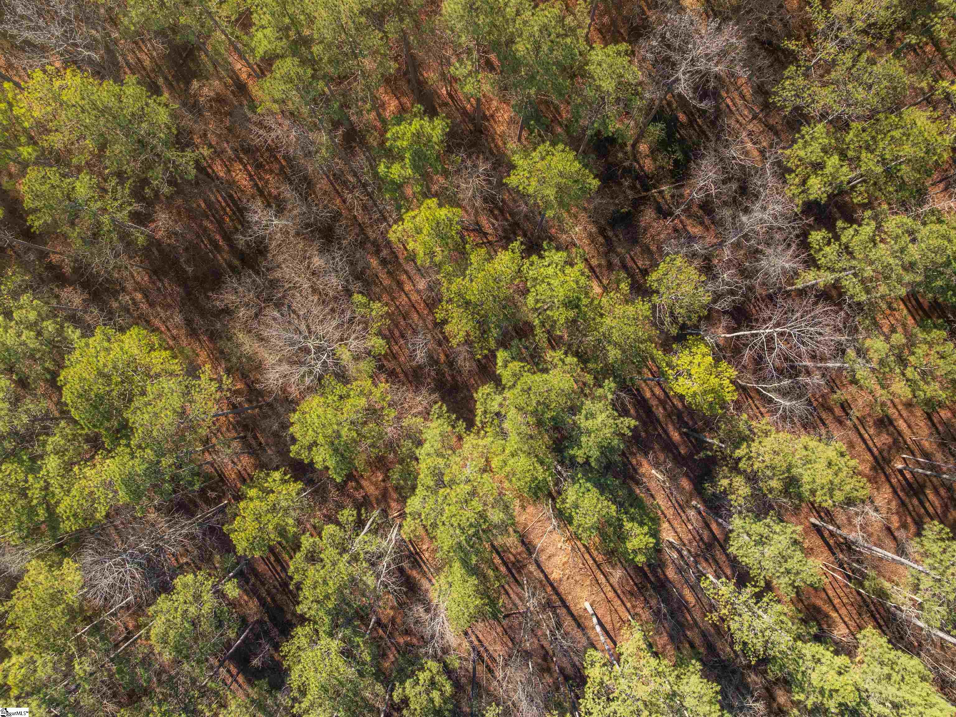 9 Mill Pine Road Liberty, SC 29657 - Photo 22 of 38