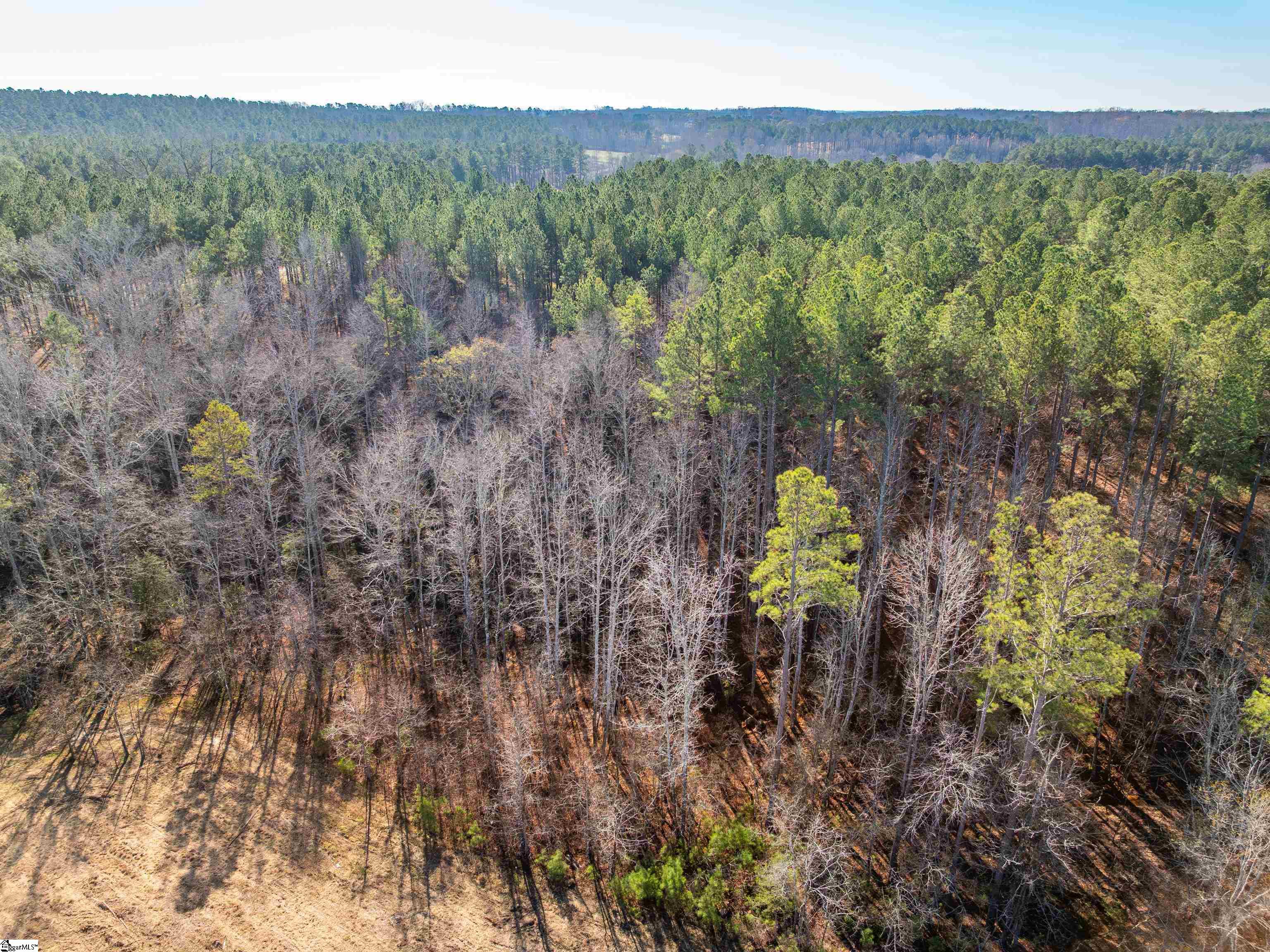 9 Mill Pine Road Liberty, SC 29657 - Photo 23 of 38