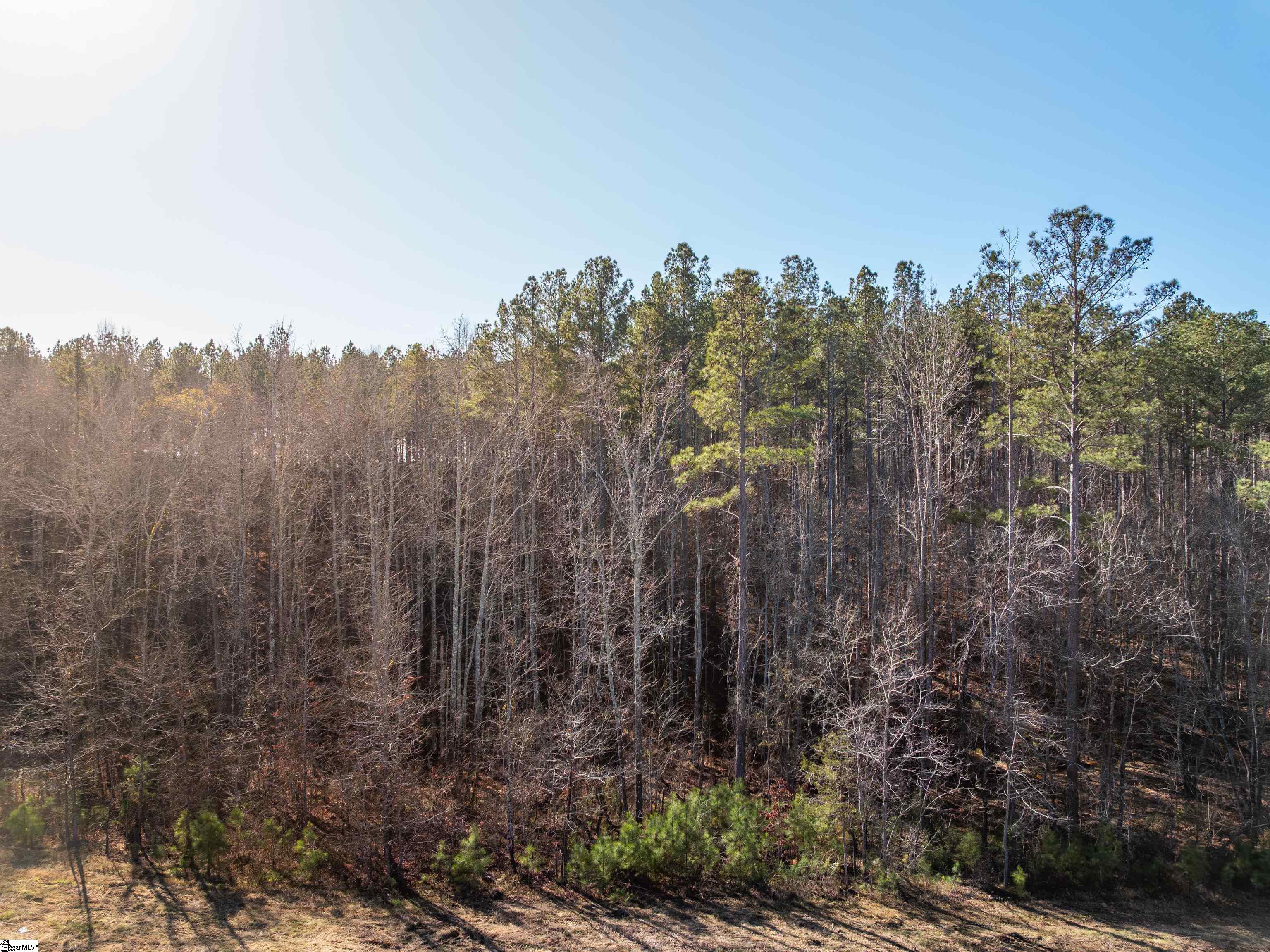 9 Mill Pine Road Liberty, SC 29657 - Photo 24 of 38