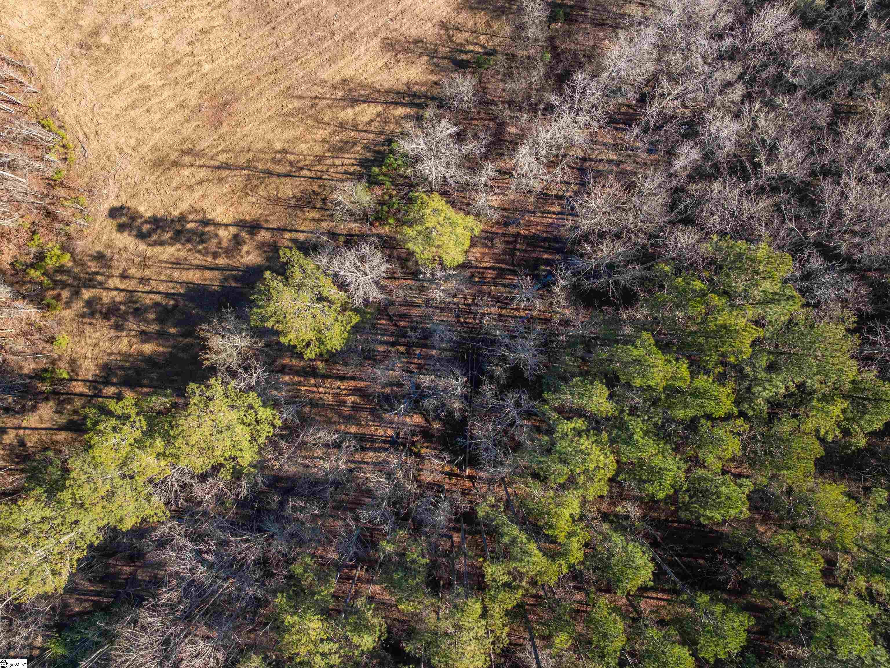 9 Mill Pine Road Liberty, SC 29657 - Photo 25 of 38