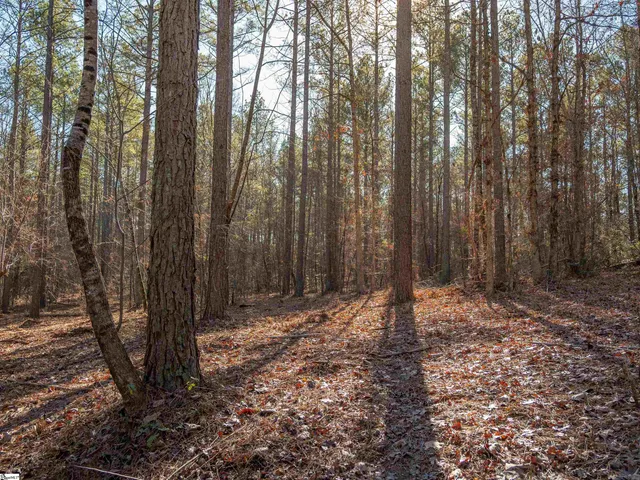 $364,999 | 9 Mill Pine Road, Liberty, SC 29657