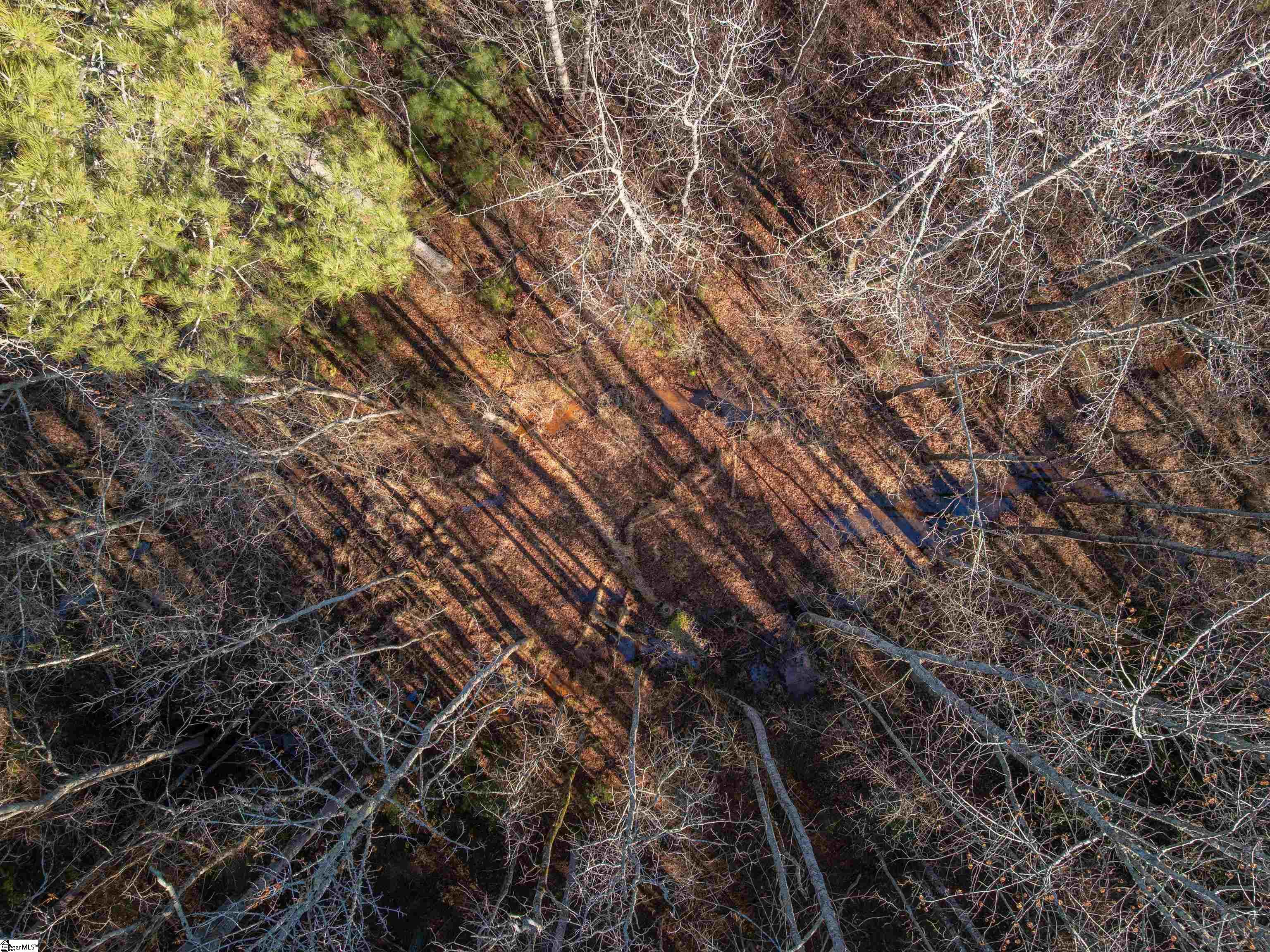 9 Mill Pine Road Liberty, SC 29657 - Photo 26 of 38