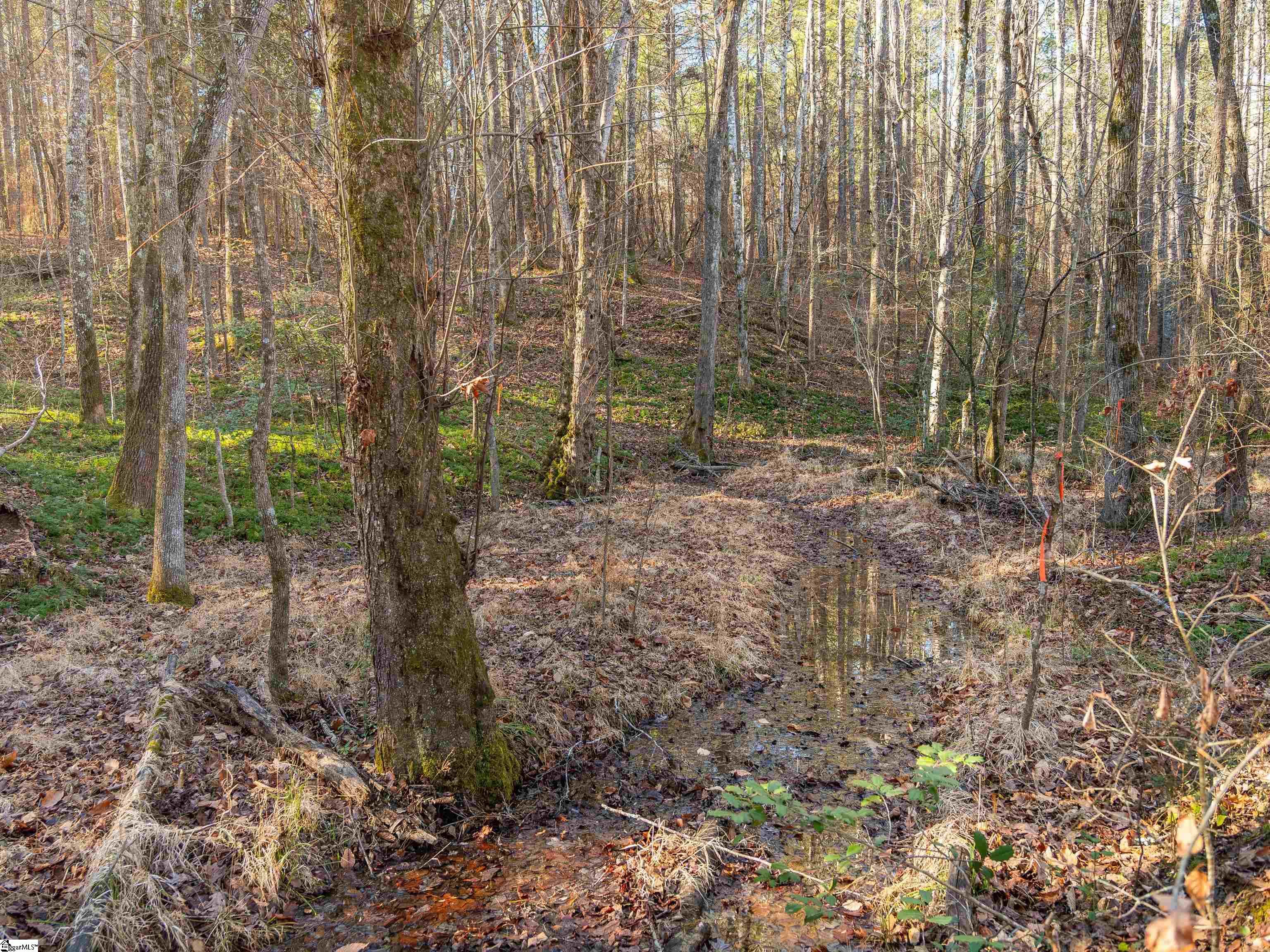 9 Mill Pine Road Liberty, SC 29657 - Photo 27 of 38