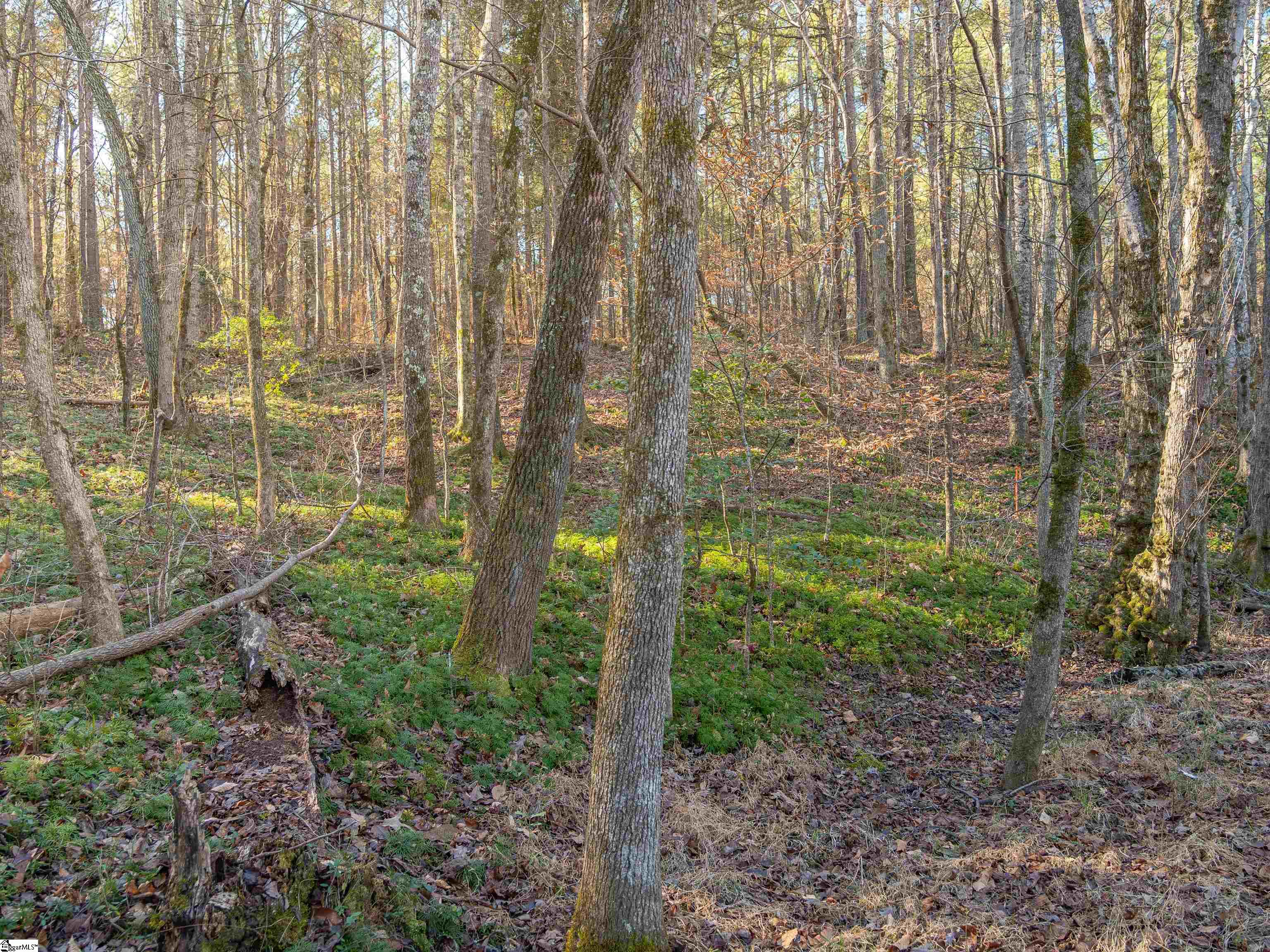 9 Mill Pine Road Liberty, SC 29657 - Photo 28 of 38