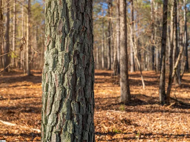 $364,999 | 9 Mill Pine Road, Liberty, SC 29657