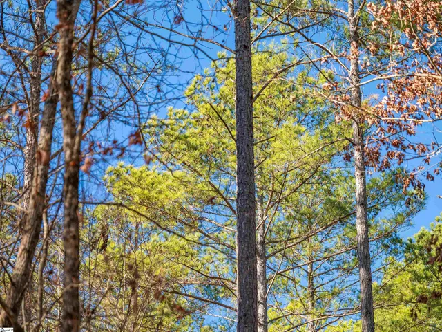 $364,999 | 9 Mill Pine Road, Liberty, SC 29657