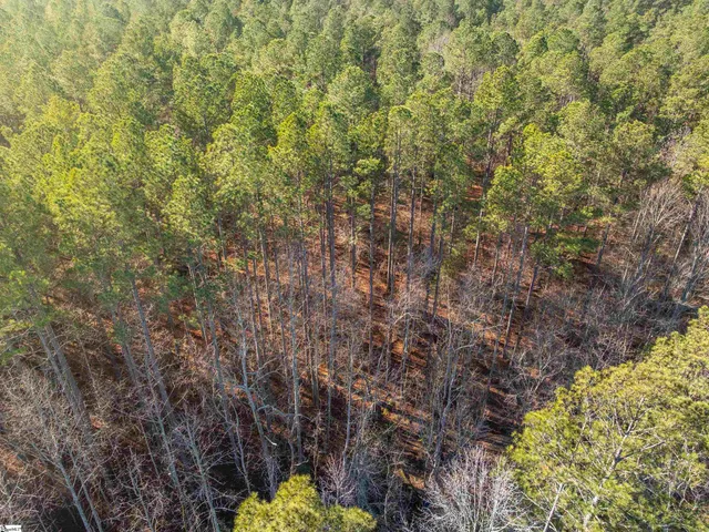 $364,999 | 9 Mill Pine Road, Liberty, SC 29657