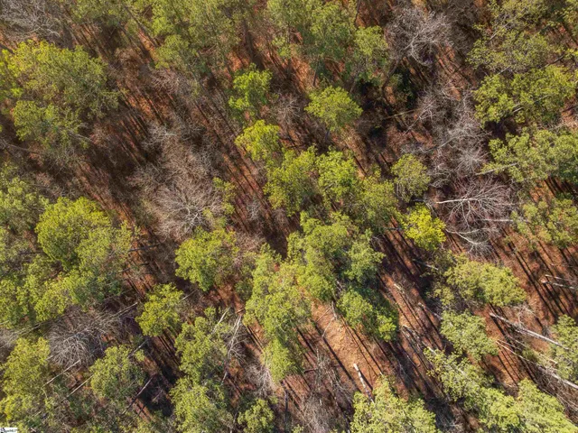 $364,999 | 9 Mill Pine Road, Liberty, SC 29657