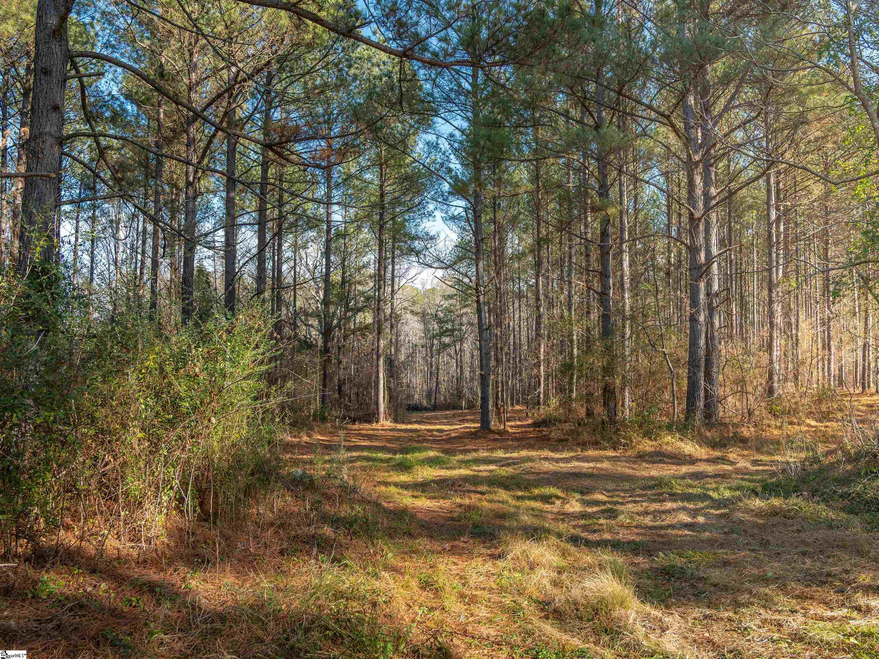 9 Mill Pine Road Liberty, SC 29657 - Photo 32 of 38