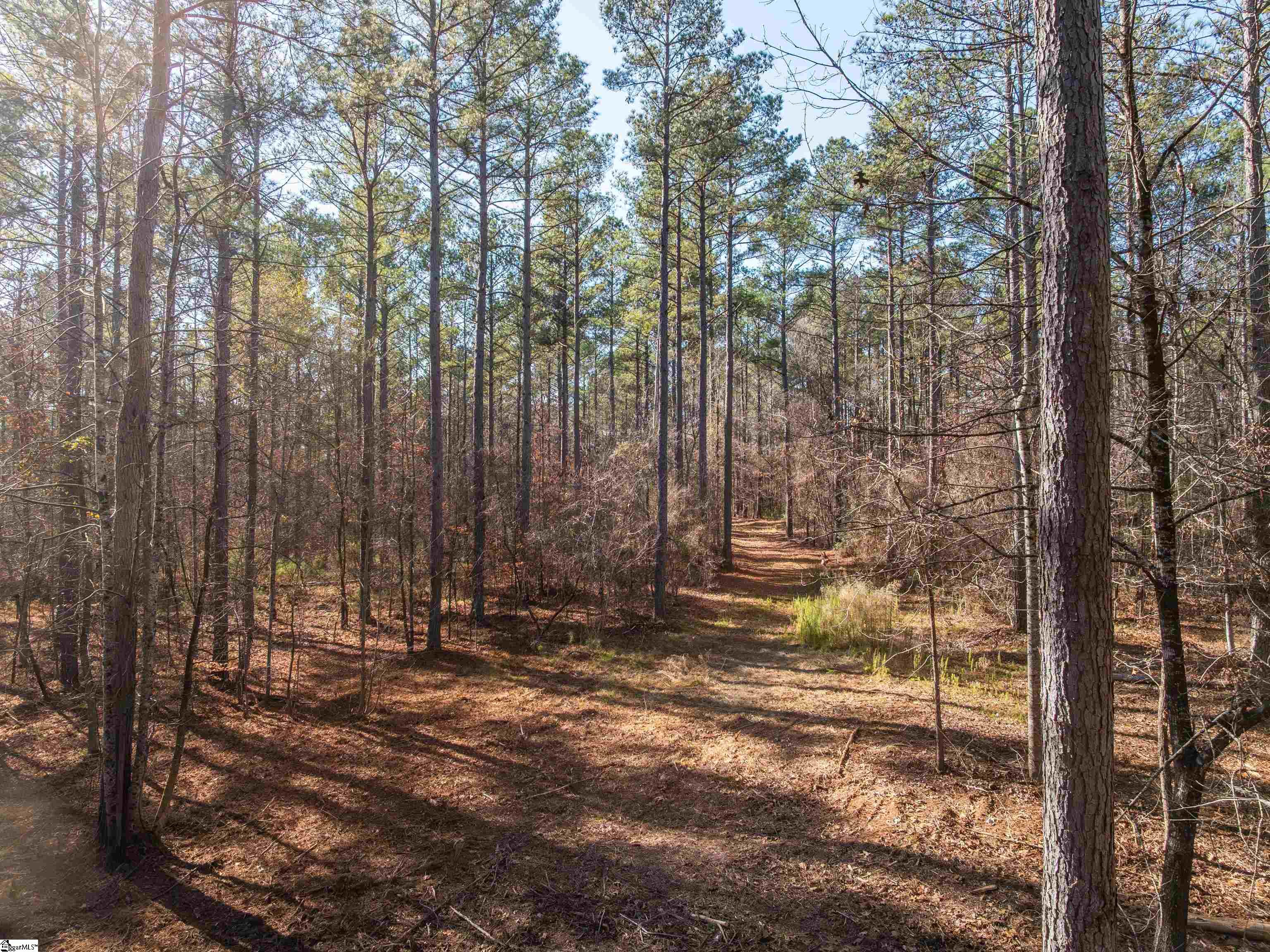 9 Mill Pine Road Liberty, SC 29657 - Photo 38 of 38