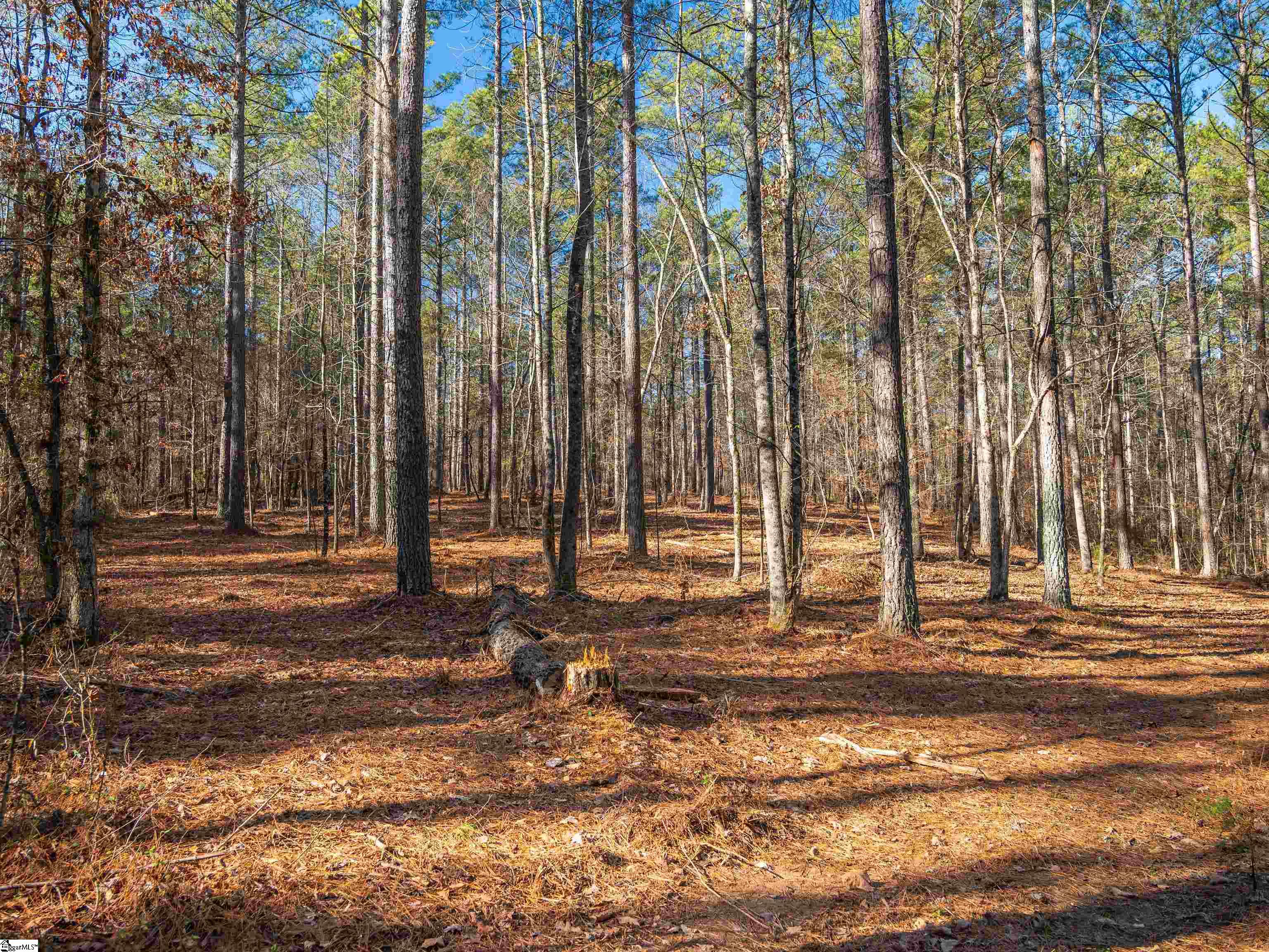 9 Mill Pine Road Liberty, SC 29657 - Photo 4 of 38