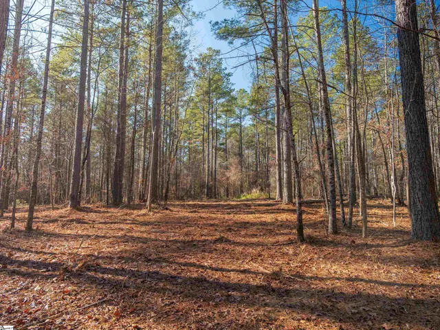 $364,999 | 9 Mill Pine Road, Liberty, SC 29657