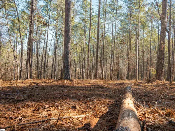 $364,999 | 9 Mill Pine Road, Liberty, SC 29657