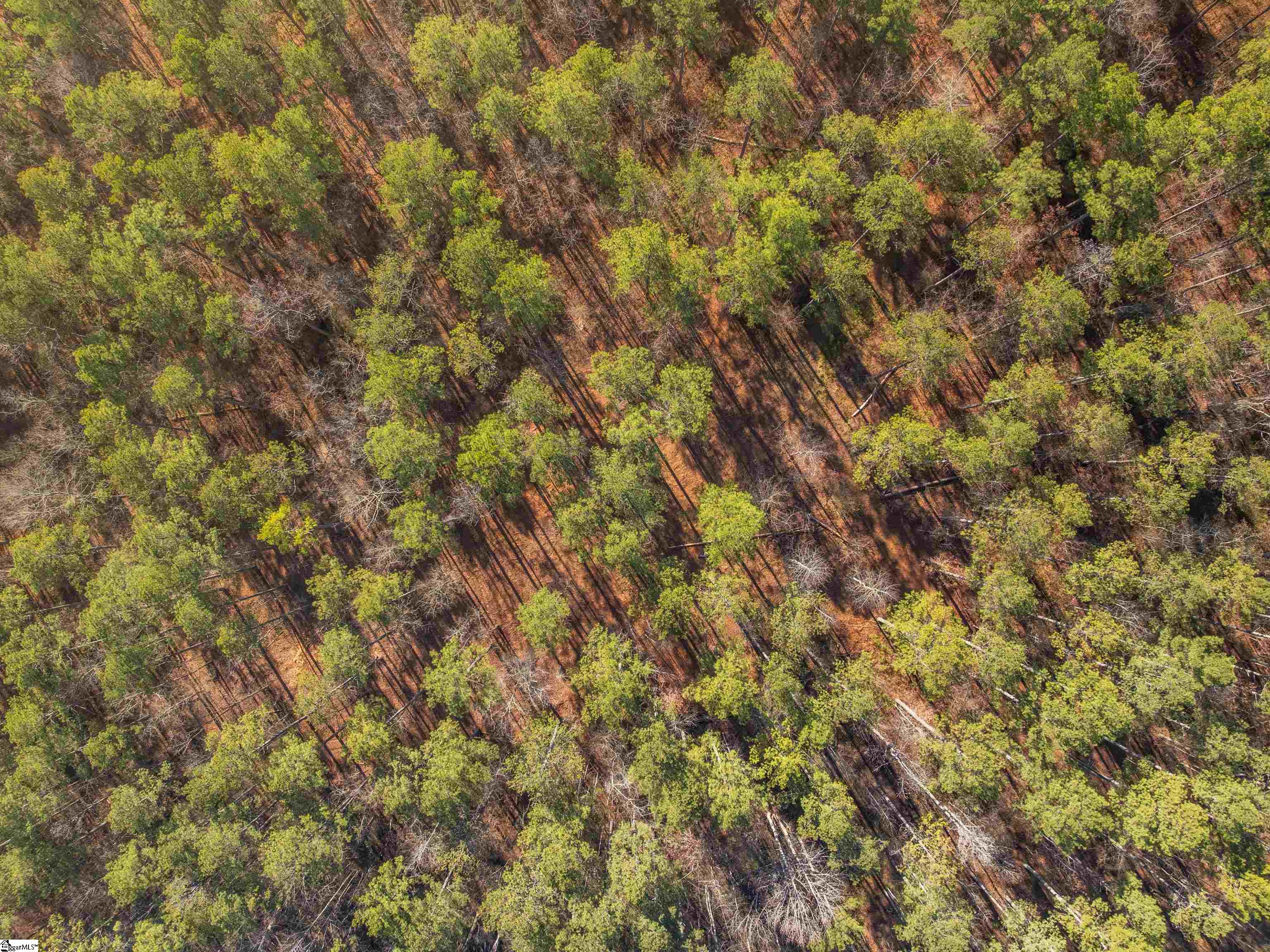 9 Mill Pine Road Liberty, SC 29657 - Photo 7 of 38