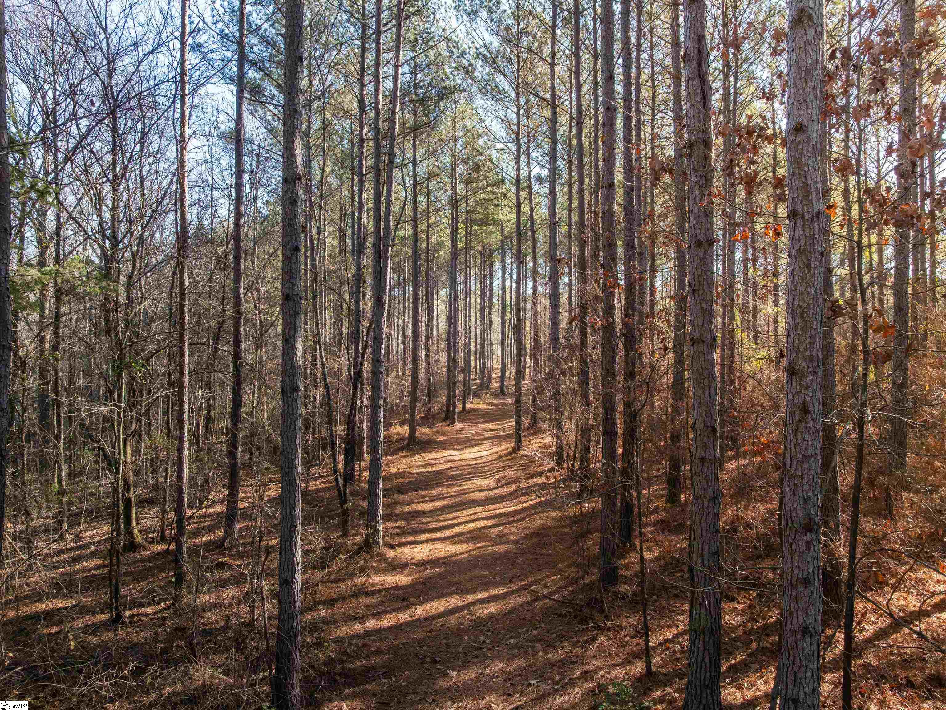 9 Mill Pine Road Liberty, SC 29657 - Photo 10 of 38