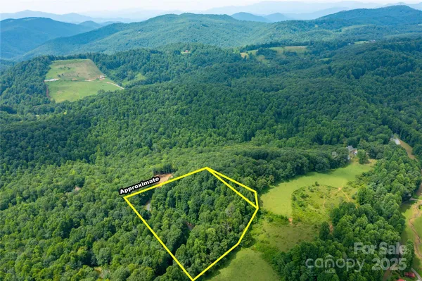 a view of a back yard