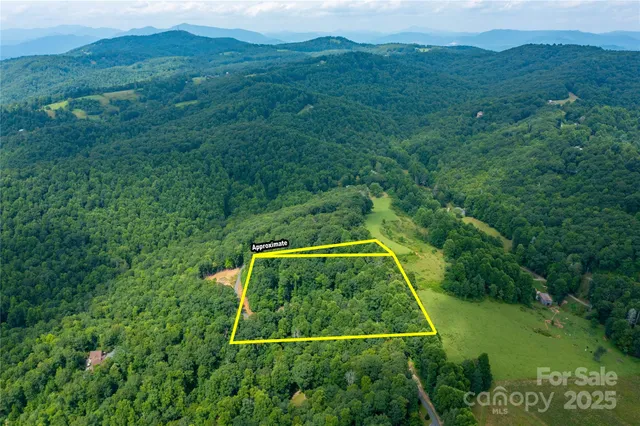 a view of a big yard with plants and a large tree