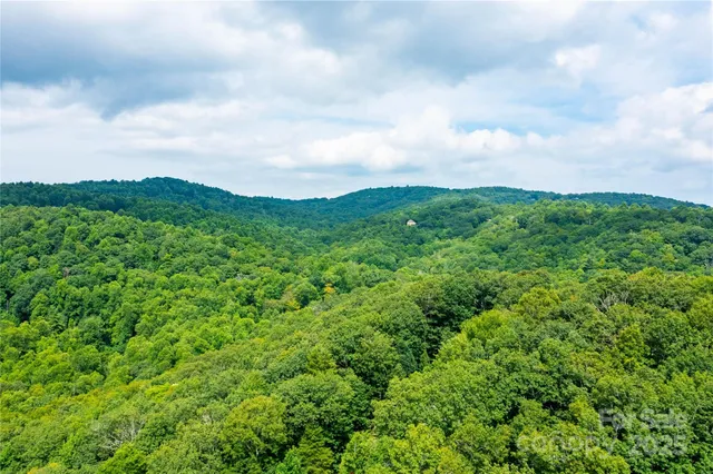 a view of a big yard with lots of green space