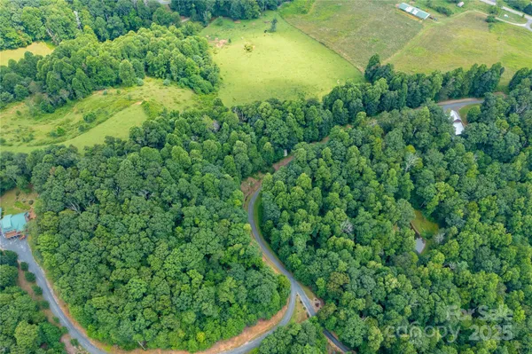 a view of a green field with lots of bushes
