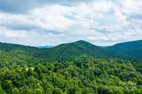 a view of a lush green hillside and a houses