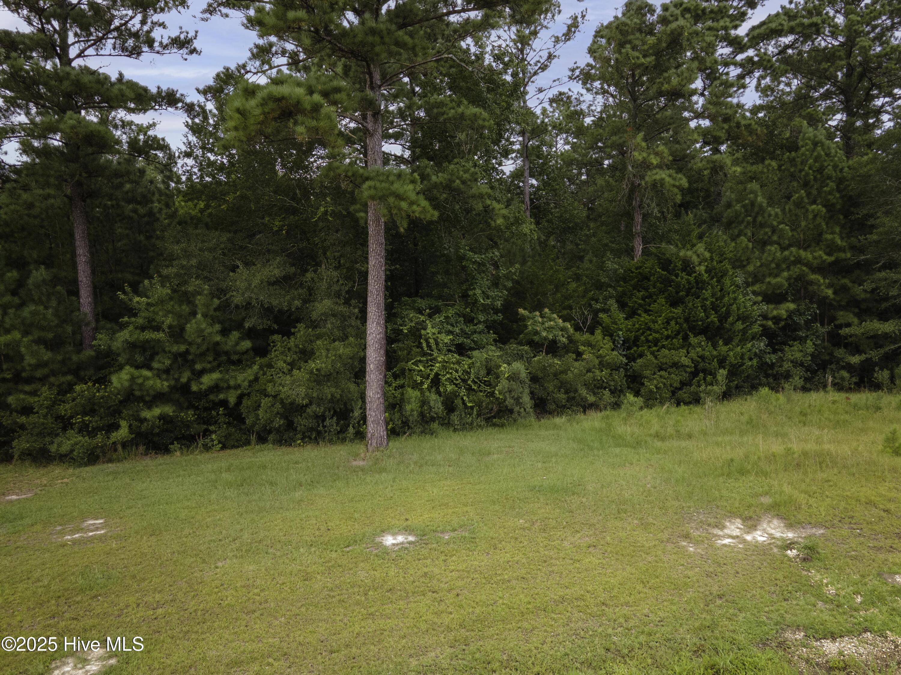 1271 North Bryan Road Jacksonville, NC 28546 - Photo 4 of 17 Lot 4 street view