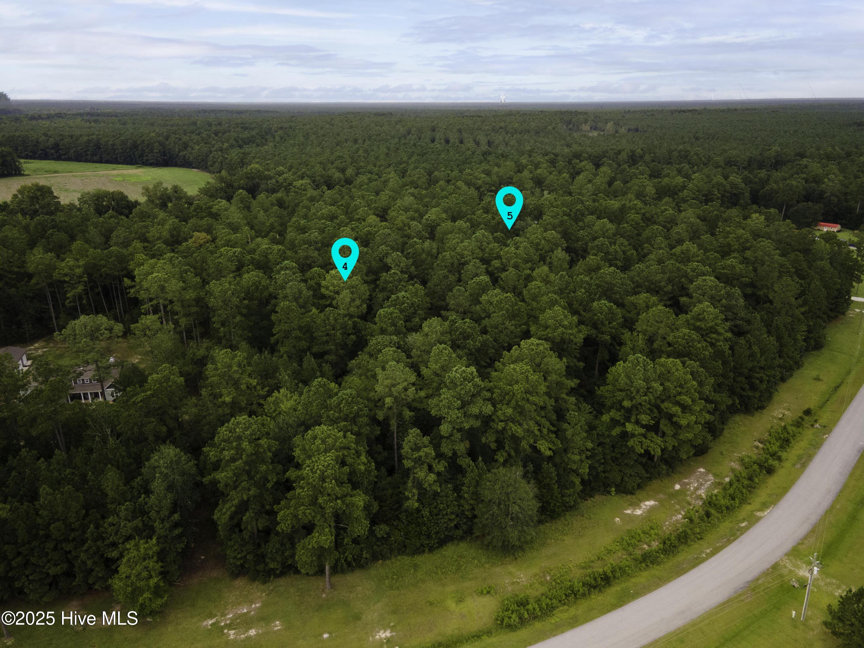 1271 North Bryan Road Jacksonville, NC 28546 - Photo 7 of 17 Lots 4 and 5