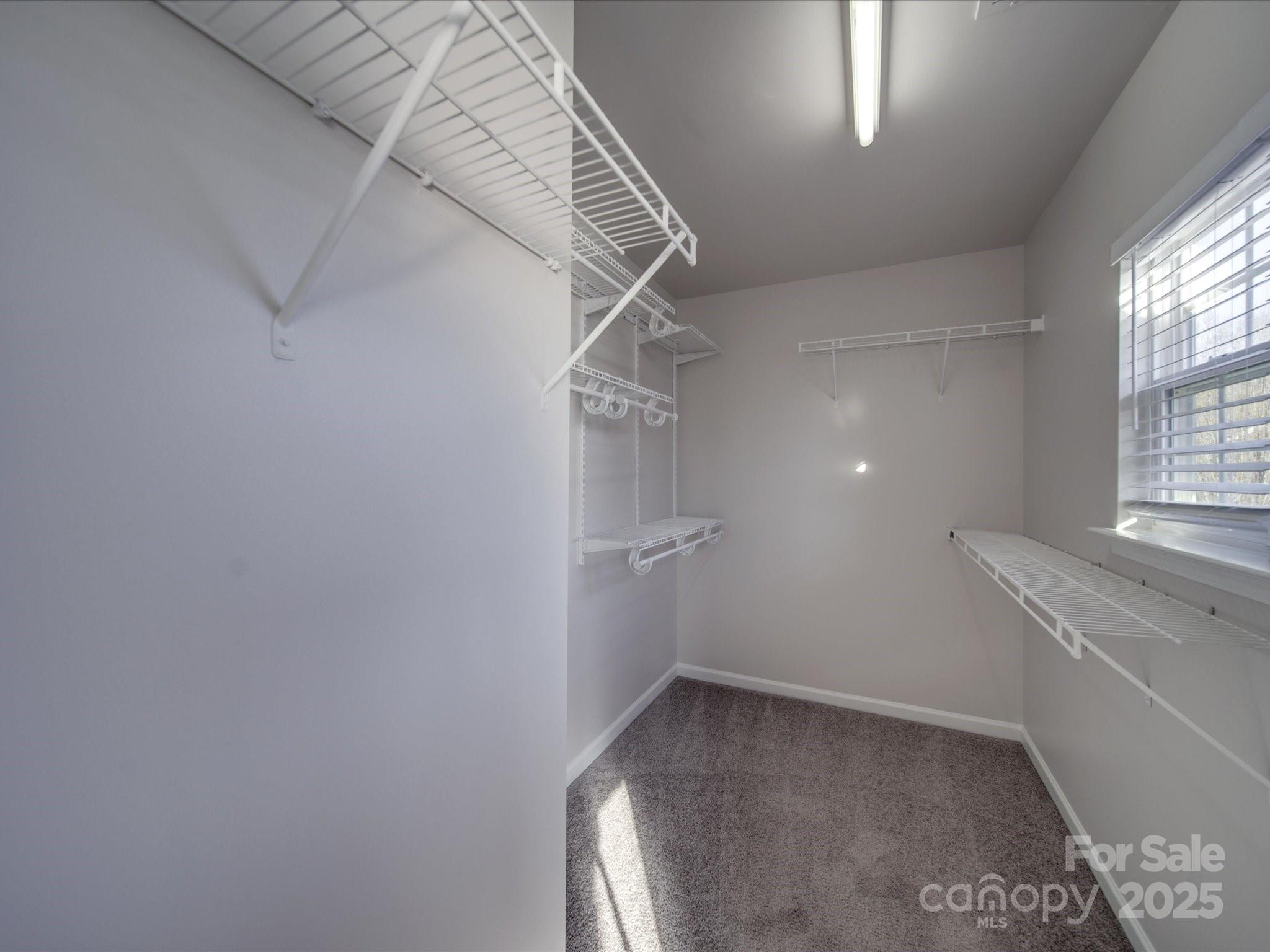 17212 Hampton Trace Road Huntersville, NC 28078 - Photo 29 of 48