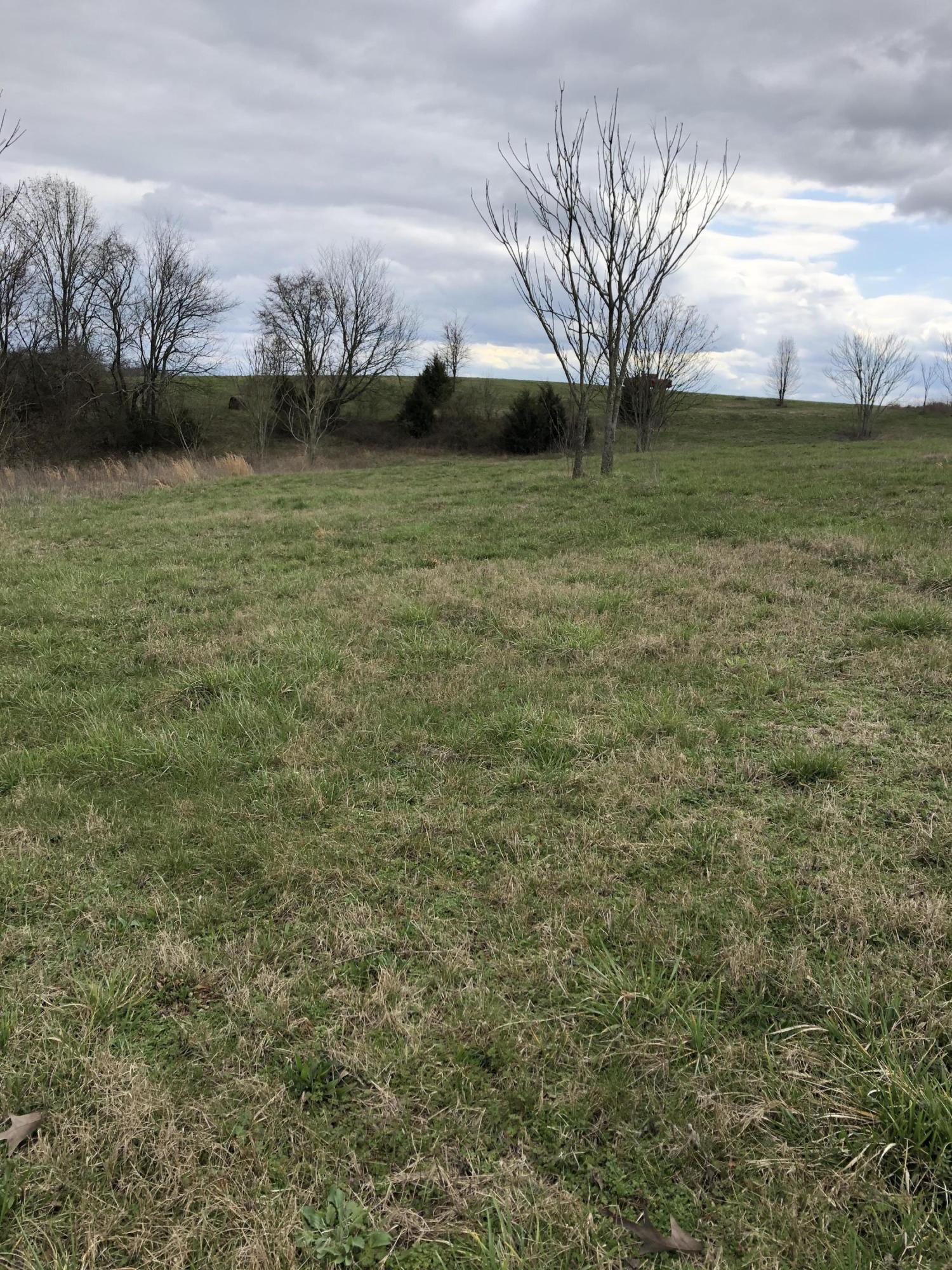 Nances Ferry Road Blaine, TN 37709 - Photo 1 of 4 0034A696-9BDE-4148-97D3-343D18CCE619