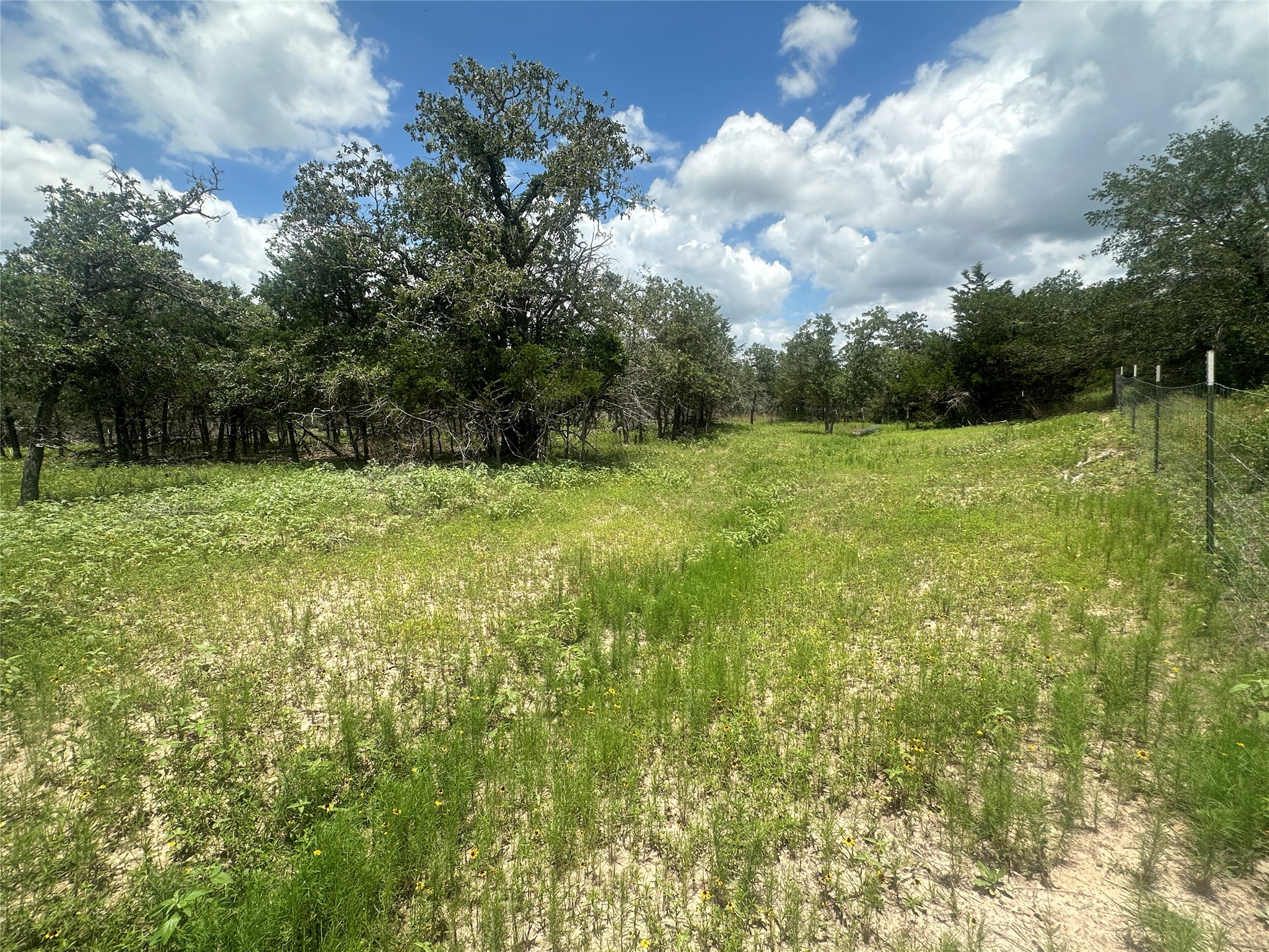 10 West Frontage Road Flatonia, TX 78941 - Photo 5 of 8