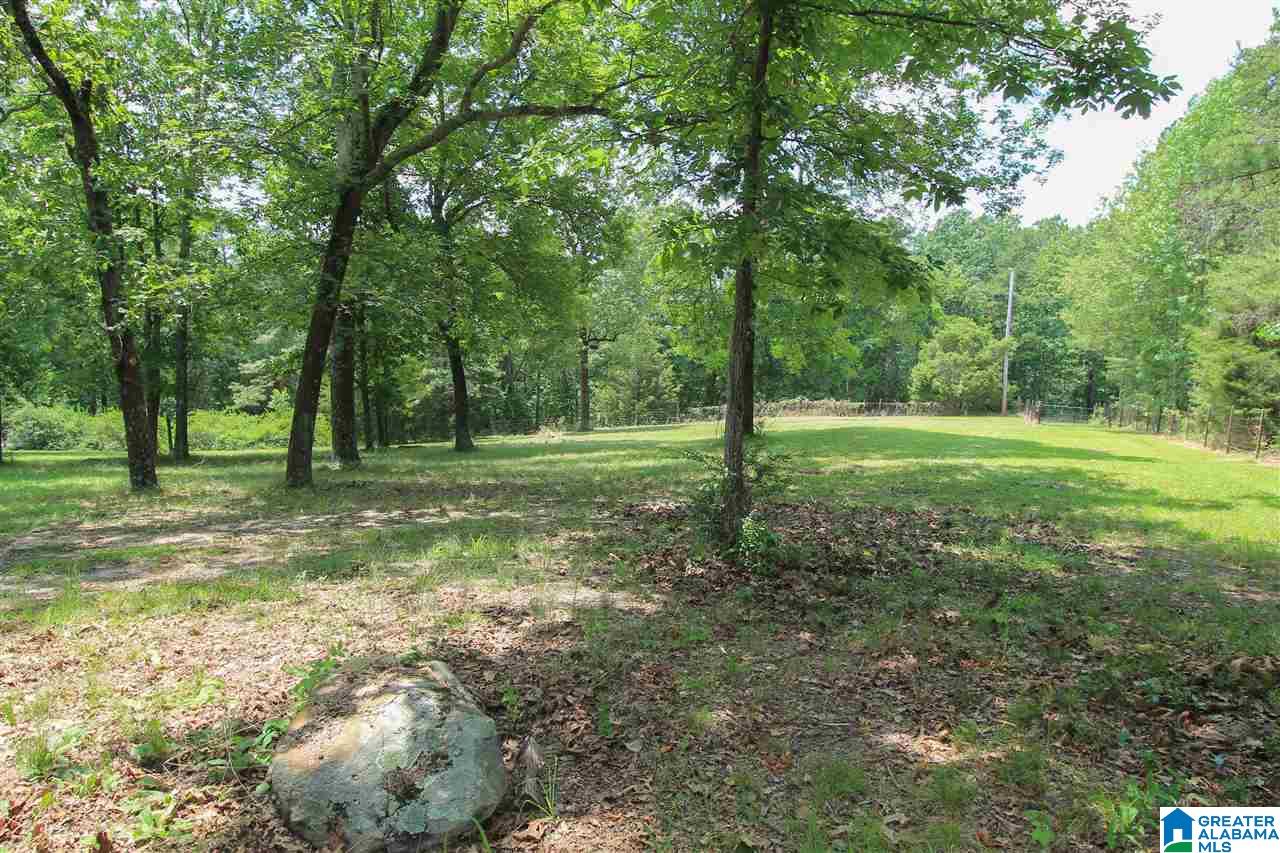 331 Powell Road Remlap, AL 35133 - Photo 43 of 47 Gallery Image 43