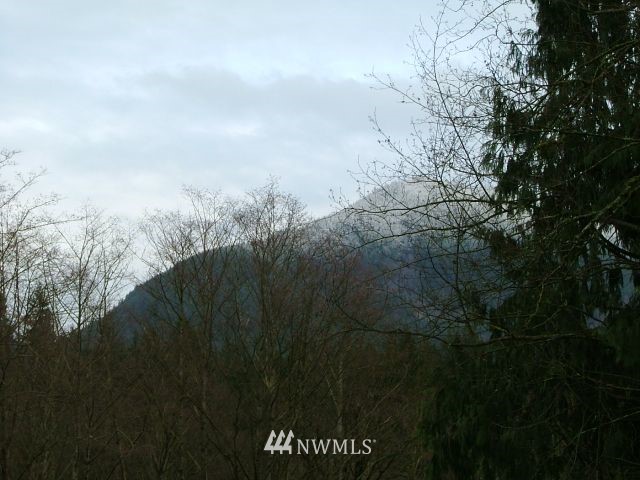 10225 Warfield Road Sedro-Woolley, WA 98284 - Photo 14 of 25 Gallery Image 14