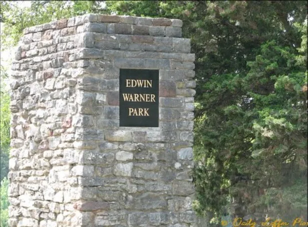 a view of city with tall buildings