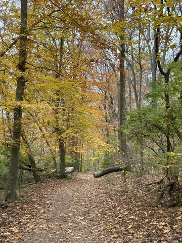a sign that is on the side of a building