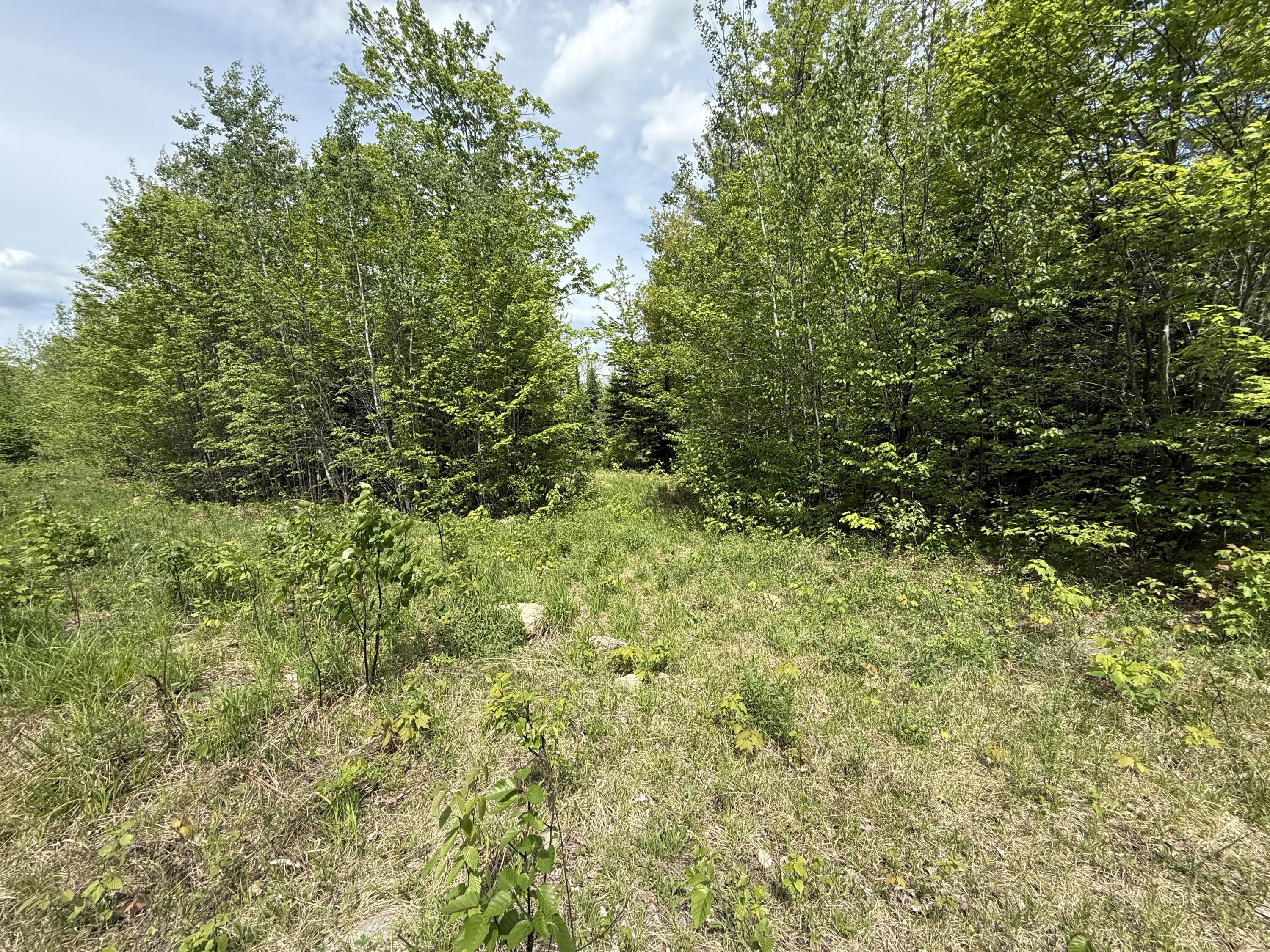 R6-l9 Dickey Mills Road Avon, ME 04966 - Photo 6 of 10 IMG_9682