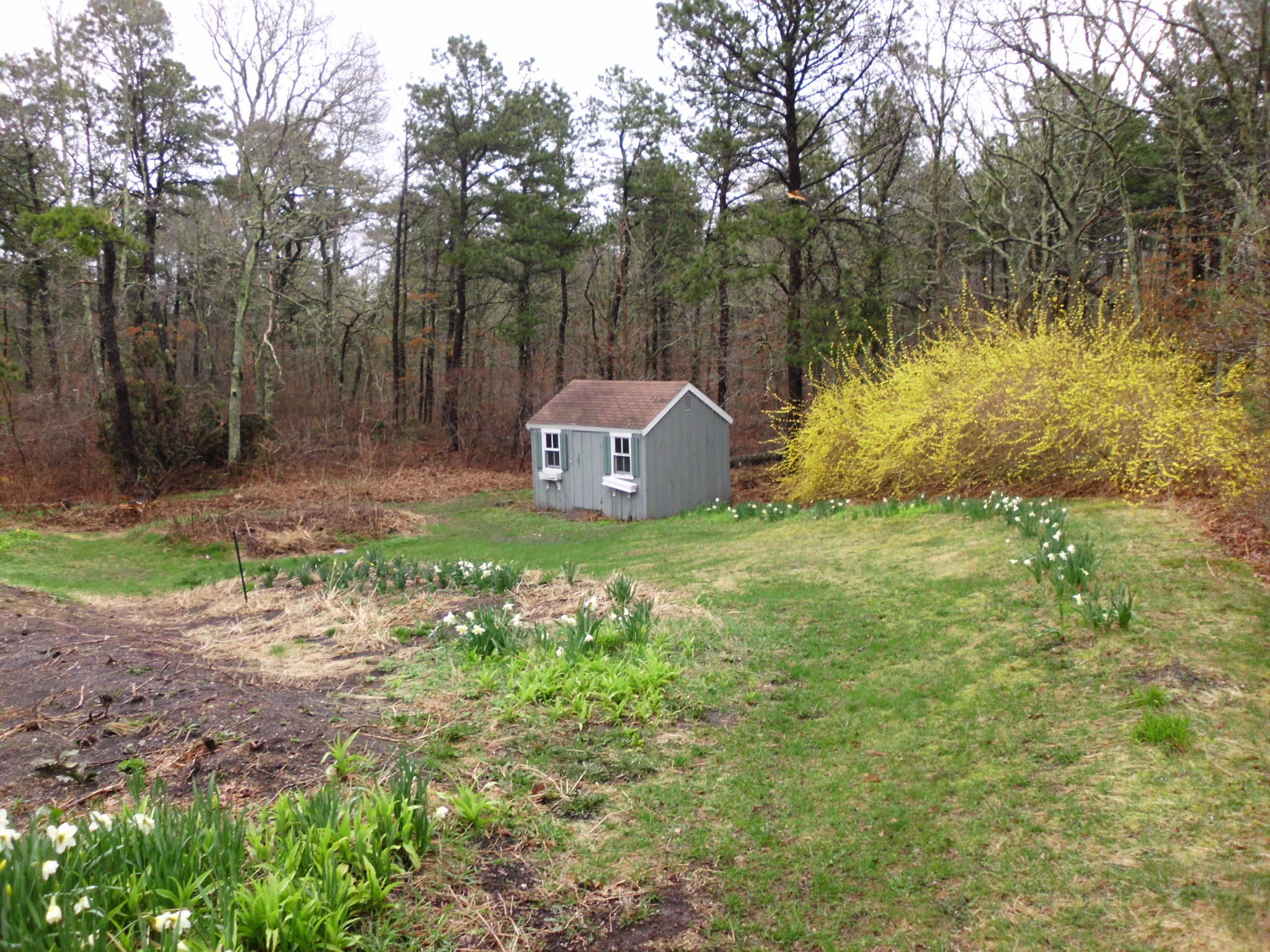 11 Carleton Drive Mashpee, MA 02649 - Photo 26 of 28 DSCI7290