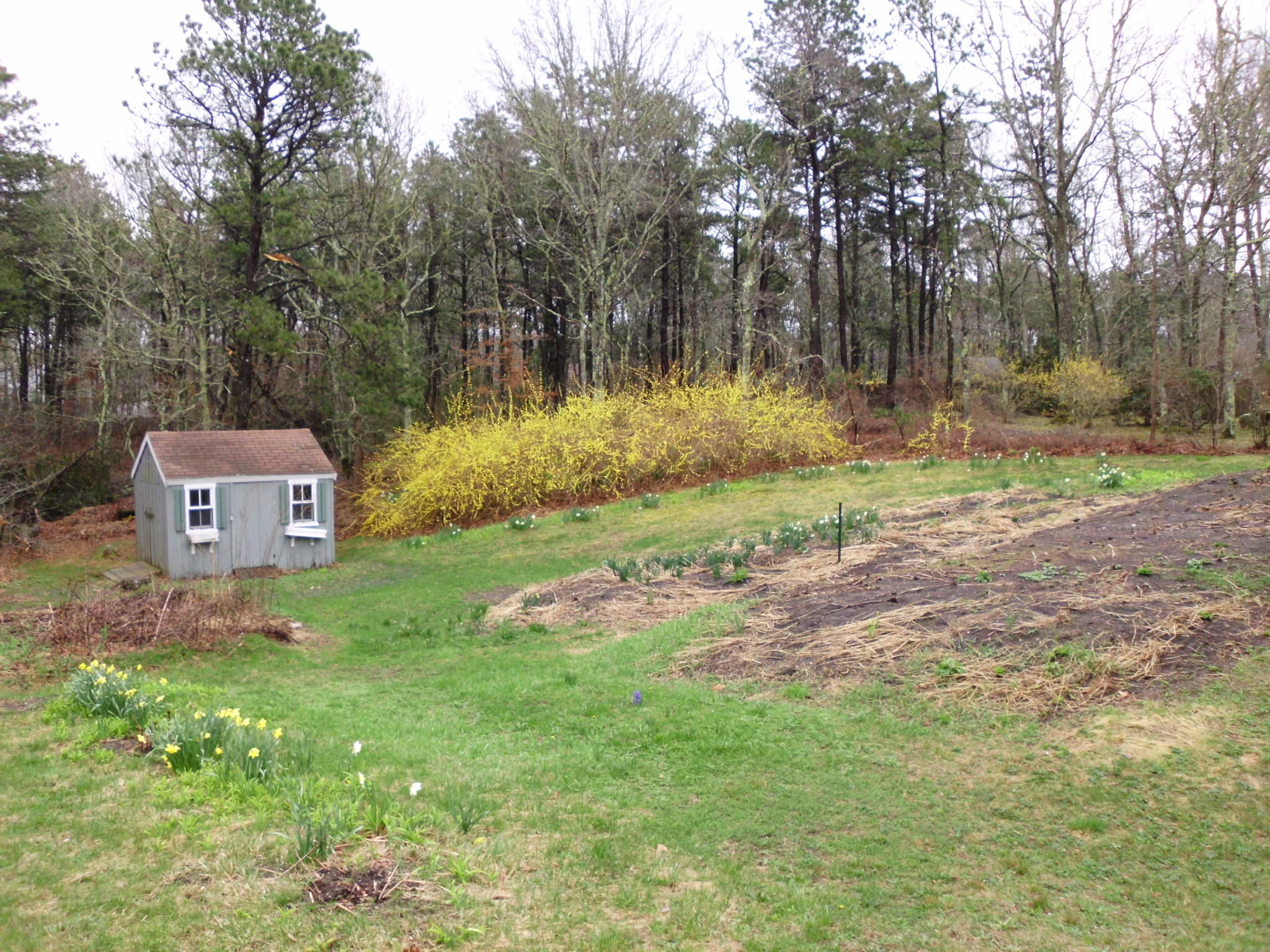 11 Carleton Drive Mashpee, MA 02649 - Photo 28 of 28 DSCI7287
