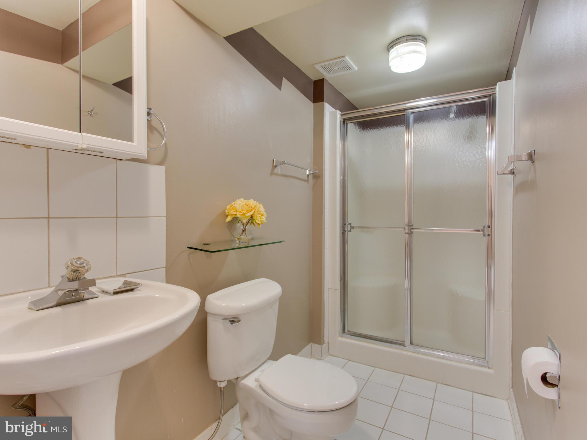 1616 Parham Road Silver Spring, MD 20903 - Photo 18 of 22 Bath Lower Level