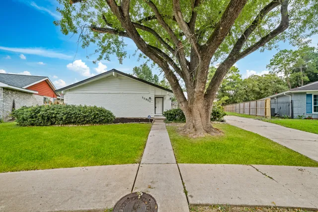 a view of a yard in front of a house with plants and large tree