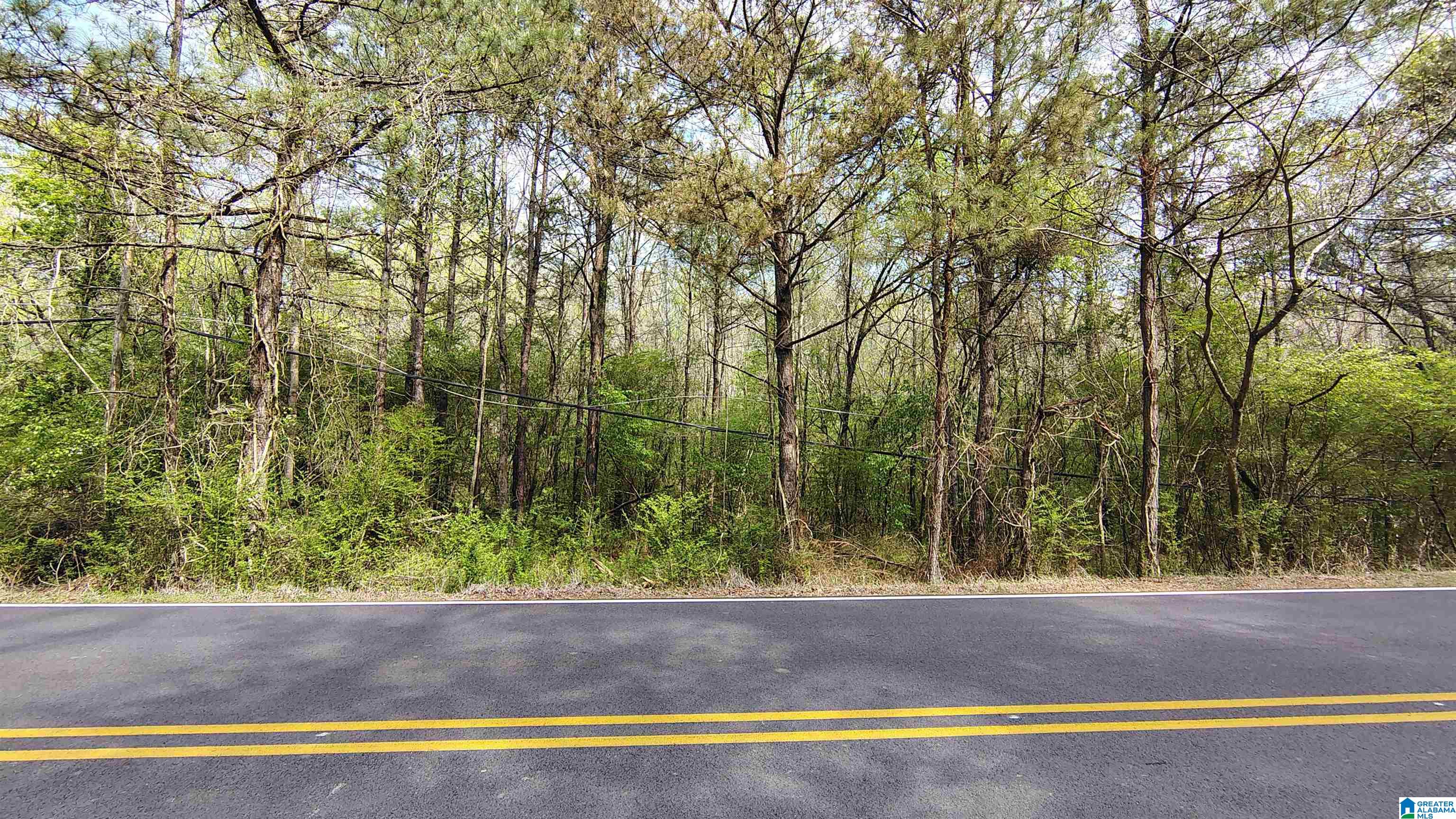 0 Glennwood Road, Unit 3 Morris, AL 35116 - Photo 9 of 25