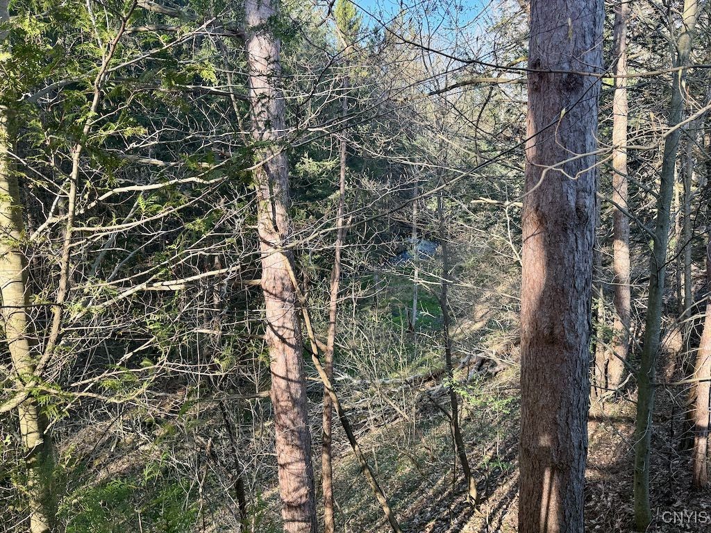 529 County Rte 22A Sandy Creek, NY 13145 - Photo 14 of 49