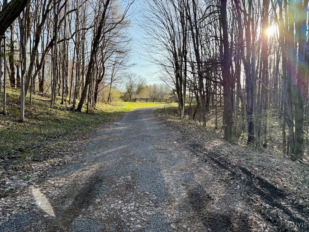 529 County Rte 22A Sandy Creek, NY 13145 - Photo 38 of 49 Driveway