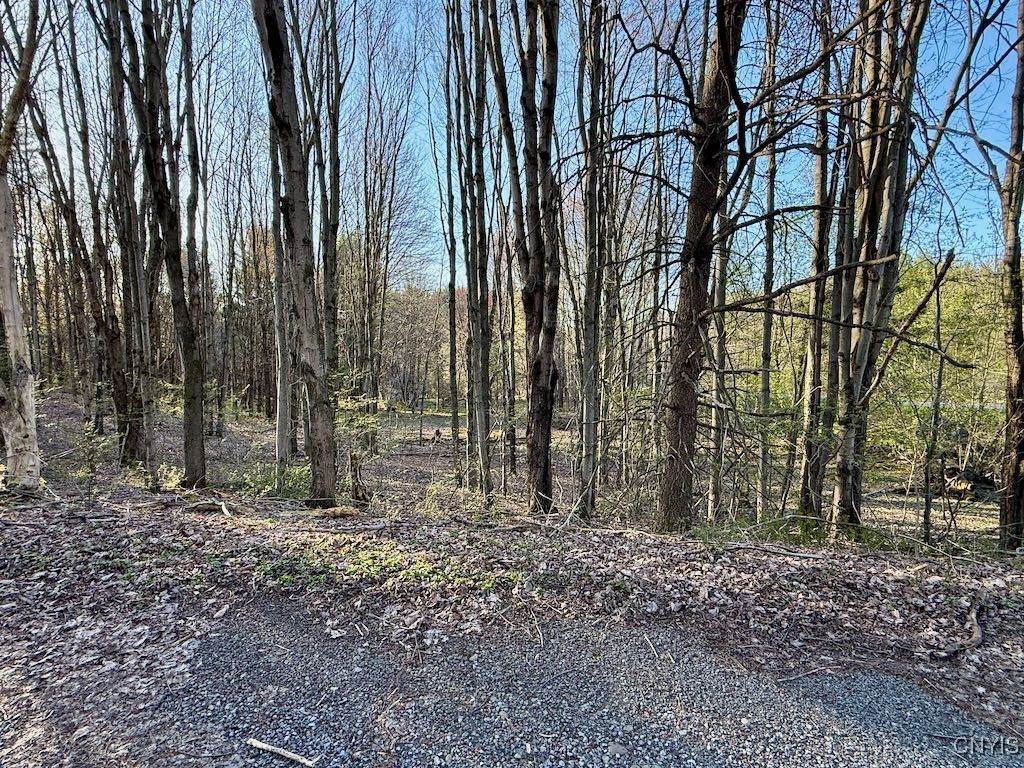 529 County Rte 22A Sandy Creek, NY 13145 - Photo 40 of 49