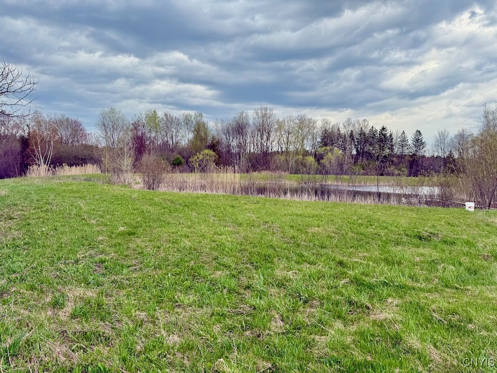 529 County Rte 22A Sandy Creek, NY 13145 - Photo 49 of 49 Pond