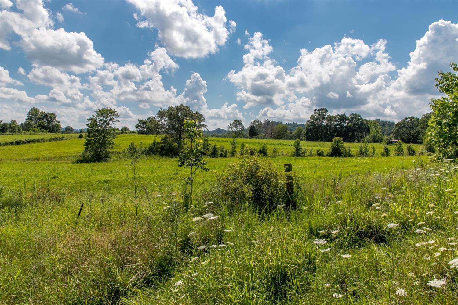 2675 Bowens Loop Road Stanford, KY 40484 - Photo 23 of 40 Photo 23
