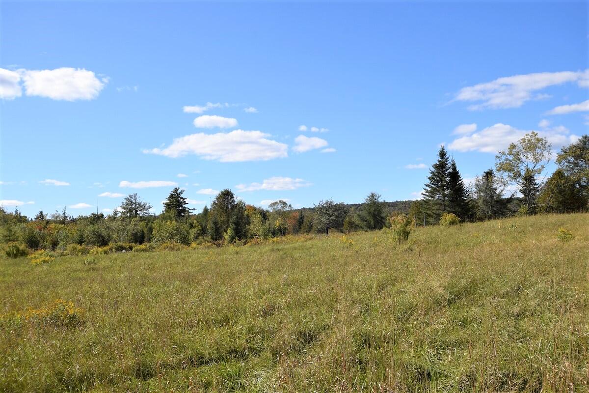 358 Cambridge Road Harmony, ME 04942 - Photo 47 of 53 Healthy wooded acreage...