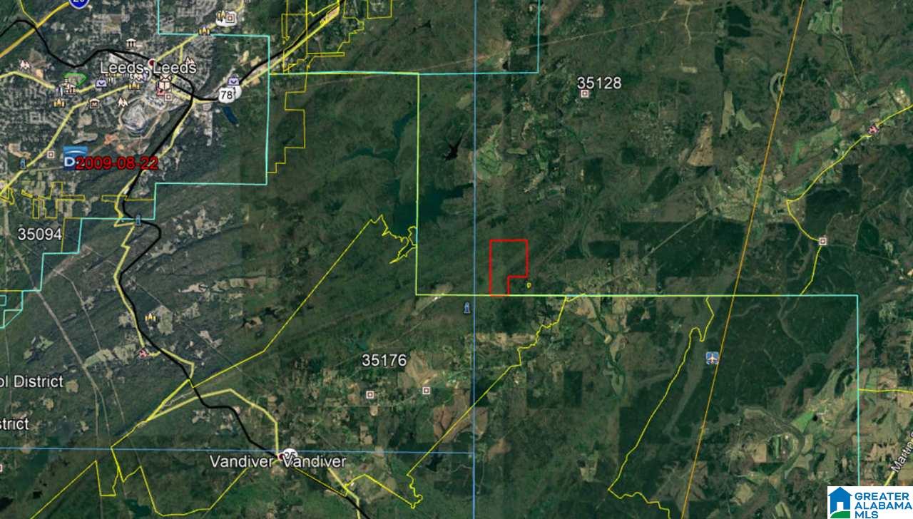 200-acres High Road, Unit 200 ACRES Pell City, AL 35128 - Photo 3 of 17