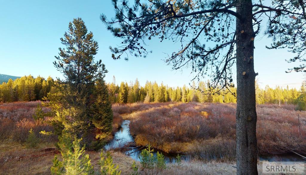 4047 Kickapoo Circle Island Park, ID 83429 - Photo 2 of 35