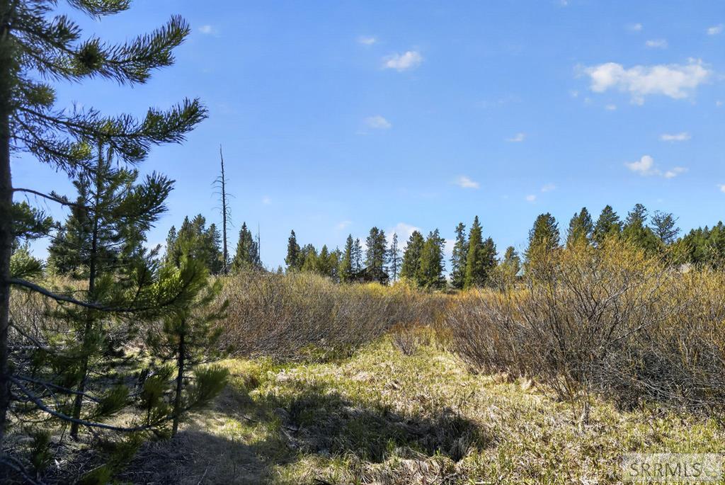 4047 Kickapoo Circle Island Park, ID 83429 - Photo 3 of 35