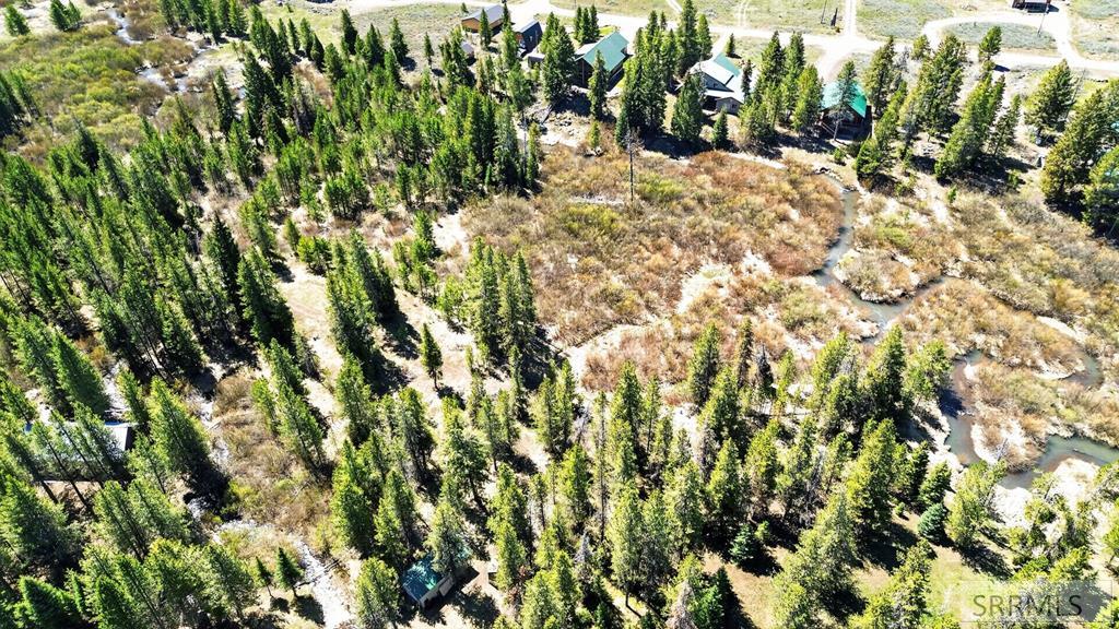 4047 Kickapoo Circle Island Park, ID 83429 - Photo 33 of 35