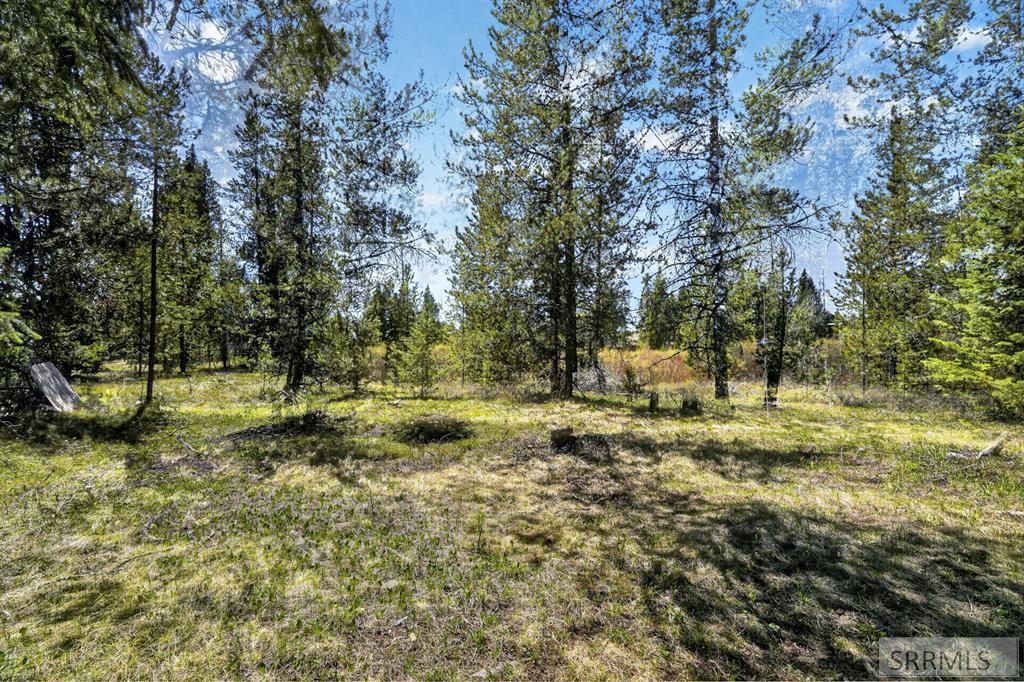 4047 Kickapoo Circle Island Park, ID 83429 - Photo 5 of 35